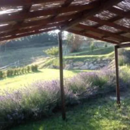 In Holiday House - Holidayfarm With Swimmingpool Pensión